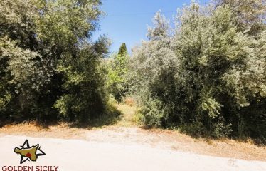 Rif: IA108 | Ampio terreno panoramico in Traversa Sinerchia – Belvedere