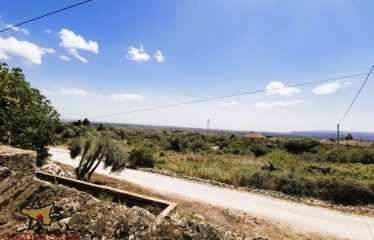 Rif: IA108 | Ampio terreno panoramico in Traversa Sinerchia – Belvedere