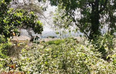 Rif: IA108 | Ampio terreno panoramico in Traversa Sinerchia – Belvedere