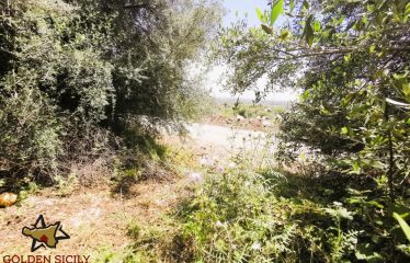 Rif: IA108 | Ampio terreno panoramico in Traversa Sinerchia – Belvedere